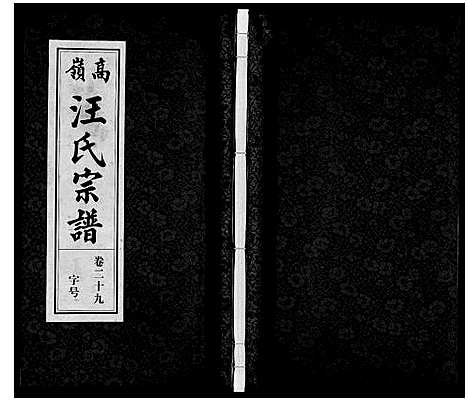 [汪]高岭汪氏宗谱 (安徽) 高岭汪氏家谱_二十九.pdf