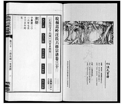 [汪]高岭汪氏宗谱 (安徽) 高岭汪氏家谱_三十.pdf