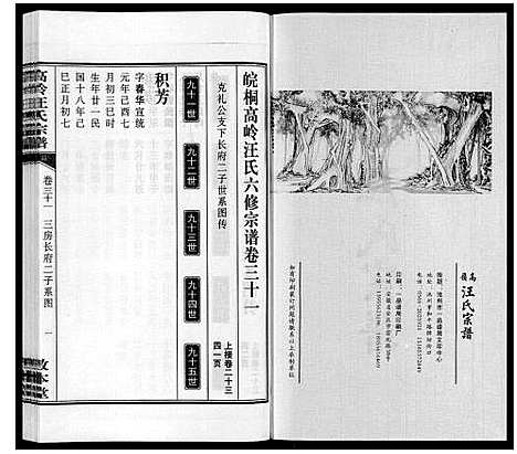 [汪]高岭汪氏宗谱 (安徽) 高岭汪氏家谱_三十一.pdf