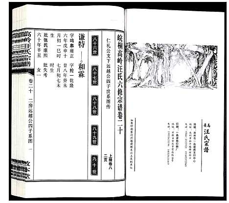 [汪]高岭汪氏宗谱 (安徽) 高岭汪氏家谱_二十.pdf