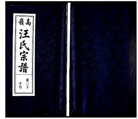 [汪]高岭汪氏宗谱 (安徽) 高岭汪氏家谱_三十.pdf