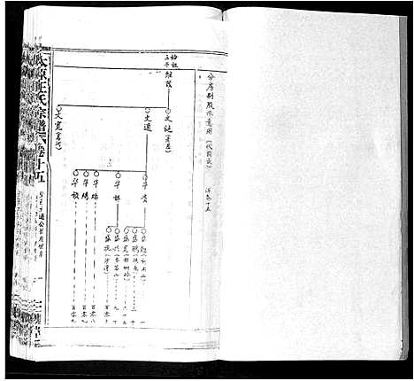 [王]太原王氏宗谱_18卷首1卷 (安徽) 太原王氏家谱_十四.pdf