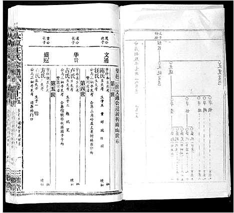 [王]太原王氏宗谱_18卷首1卷 (安徽) 太原王氏家谱_十四.pdf