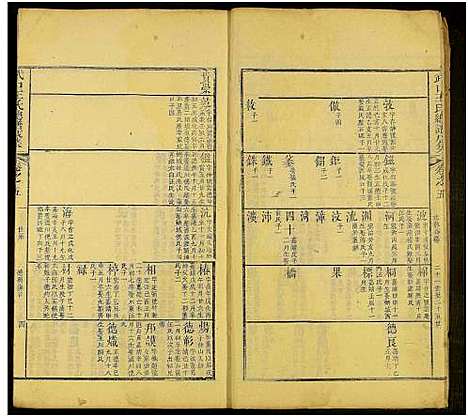 [王]新安武口王氏统谱_共264卷计40册-武口王氏总谱 (安徽) 新安武口王氏统谱_十三.pdf