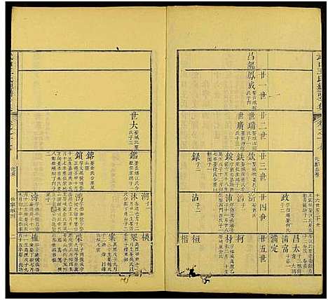 [王]新安武口王氏统谱_共264卷计40册-武口王氏总谱 (安徽) 新安武口王氏统谱_十七.pdf