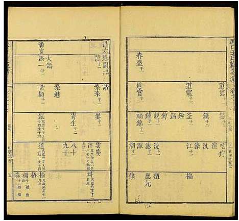 [王]新安武口王氏统谱_共264卷计40册-武口王氏总谱 (安徽) 新安武口王氏统谱_十七.pdf