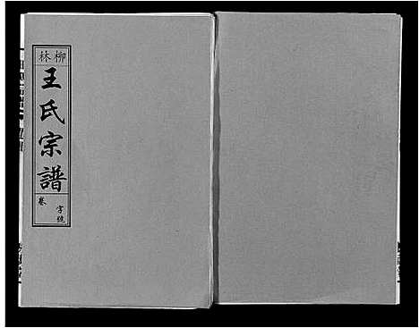 [王]柳林王氏宗谱_14卷首末各1卷 (安徽) 柳林王氏家谱_四.pdf