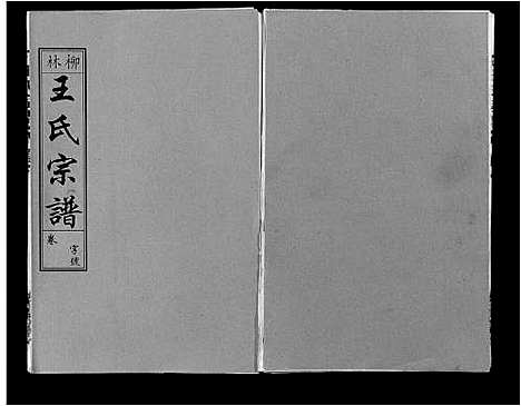 [王]柳林王氏宗谱_14卷首末各1卷 (安徽) 柳林王氏家谱_五.pdf