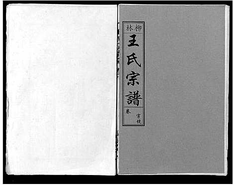 [王]柳林王氏宗谱_14卷首末各1卷 (安徽) 柳林王氏家谱_六.pdf