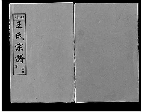 [王]柳林王氏宗谱_14卷首末各1卷 (安徽) 柳林王氏家谱_七.pdf