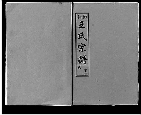 [王]柳林王氏宗谱_14卷首末各1卷 (安徽) 柳林王氏家谱_八.pdf