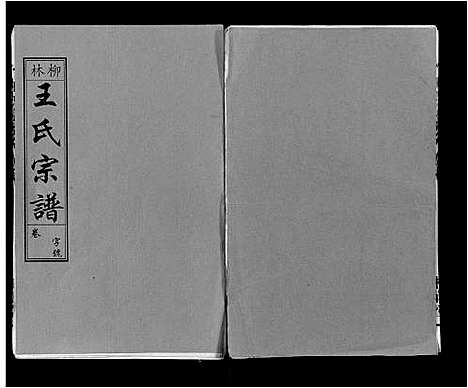 [王]柳林王氏宗谱_14卷首末各1卷 (安徽) 柳林王氏家谱_十.pdf