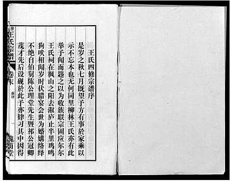 [王]柳林王氏宗谱_14卷首末各1卷 (安徽) 柳林王氏家谱_十.pdf