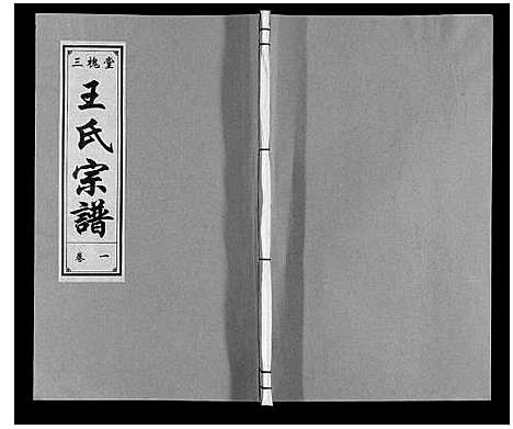 [王]王氏宗谱 (安徽) 王氏家谱_一.pdf