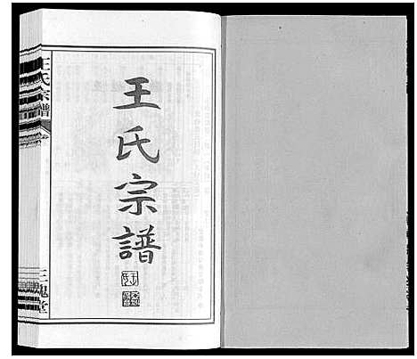 [王]王氏宗谱 (安徽) 王氏家谱_七.pdf