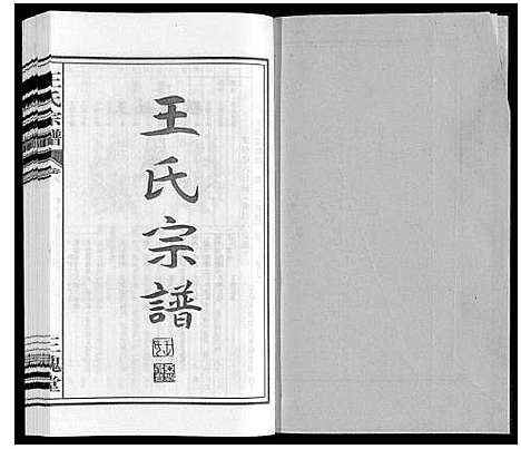 [王]王氏宗谱 (安徽) 王氏家谱_八.pdf