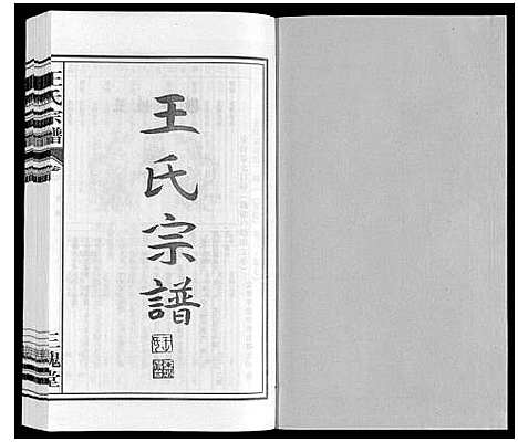 [王]王氏宗谱 (安徽) 王氏家谱_九.pdf