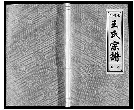 [王]王氏宗谱 (安徽) 王氏家谱_二.pdf