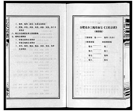 [王]王氏宗谱 (安徽) 王氏家谱_二.pdf