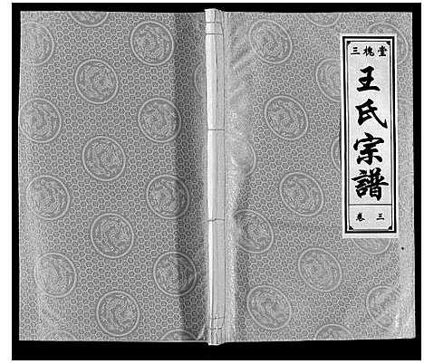 [王]王氏宗谱 (安徽) 王氏家谱_三.pdf