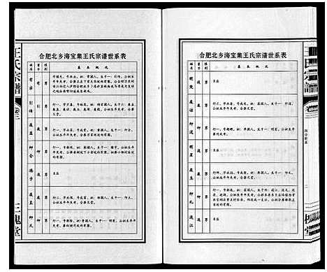 [王]王氏宗谱 (安徽) 王氏家谱_三.pdf