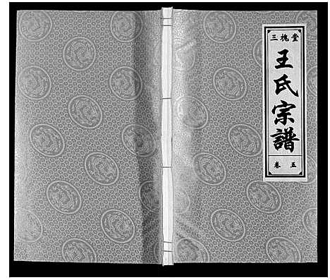 [王]王氏宗谱 (安徽) 王氏家谱_五.pdf