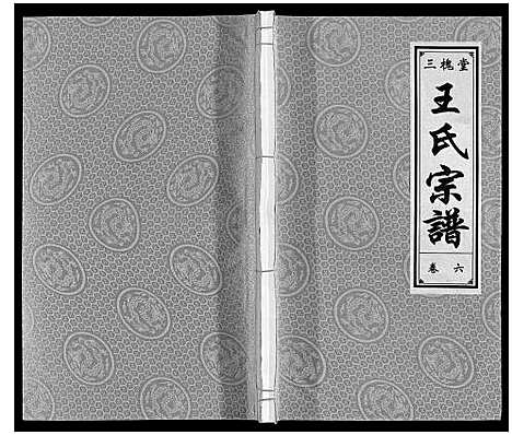 [王]王氏宗谱 (安徽) 王氏家谱_六.pdf