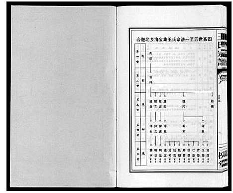 [王]王氏宗谱 (安徽) 王氏家谱_八.pdf