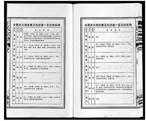 [王]王氏宗谱 (安徽) 王氏家谱_八.pdf