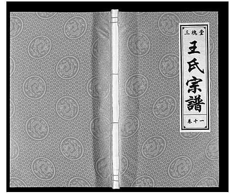 [王]王氏宗谱 (安徽) 王氏家谱_十一.pdf