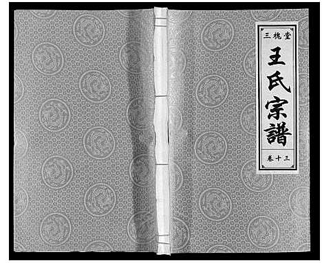 [王]王氏宗谱 (安徽) 王氏家谱_十三.pdf