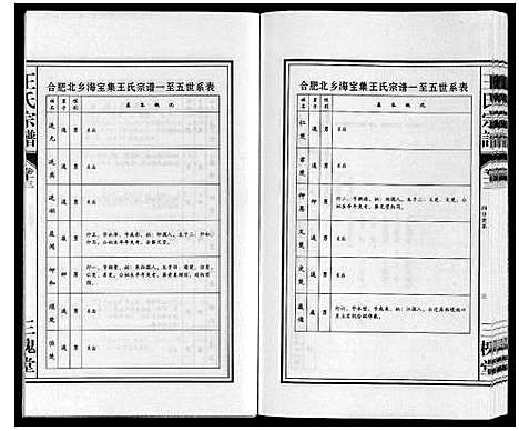 [王]王氏宗谱 (安徽) 王氏家谱_十三.pdf