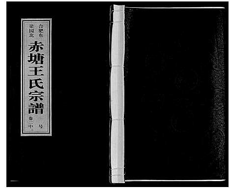 [王]王氏宗谱 (安徽) 王氏家谱_六.pdf