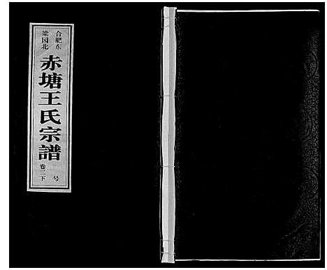 [王]王氏宗谱 (安徽) 王氏家谱_七.pdf