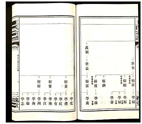 [王]王氏宗谱 (安徽) 王氏家谱_二.pdf