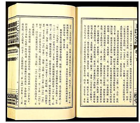 [王]王氏宗谱 (安徽) 王氏家谱_三.pdf