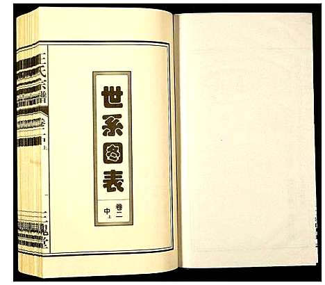 [王]王氏宗谱 (安徽) 王氏家谱_五.pdf