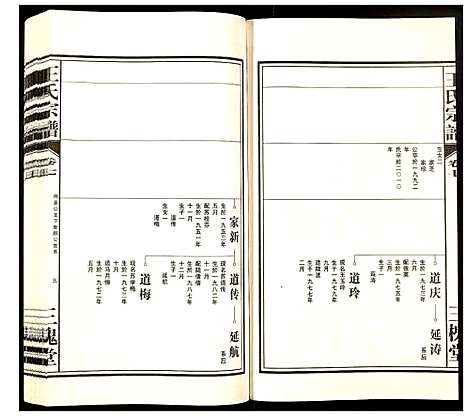 [王]王氏宗谱 (安徽) 王氏家谱_五.pdf