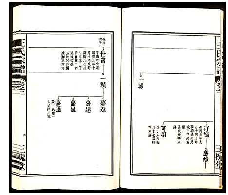 [王]王氏宗谱 (安徽) 王氏家谱_二.pdf