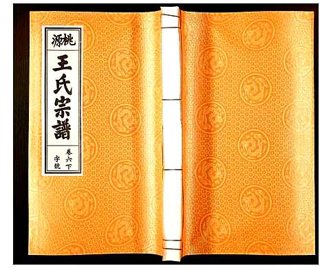 [王]王氏宗谱 (安徽) 王氏家谱_五.pdf