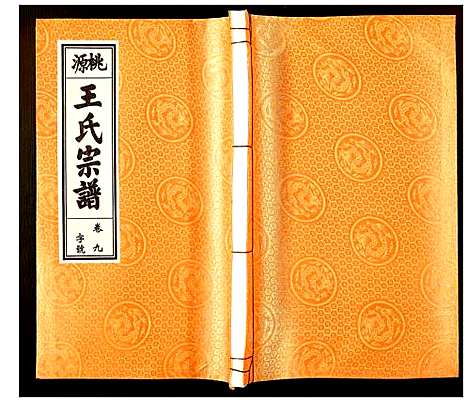 [王]王氏宗谱 (安徽) 王氏家谱_八.pdf