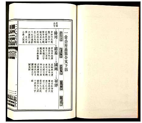 [王]王氏宗谱 (安徽) 王氏家谱_九.pdf