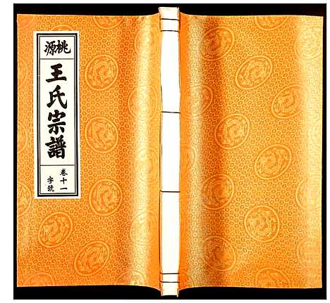 [王]王氏宗谱 (安徽) 王氏家谱_十.pdf