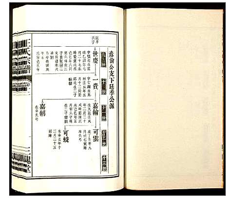 [王]王氏宗谱 (安徽) 王氏家谱_十一.pdf