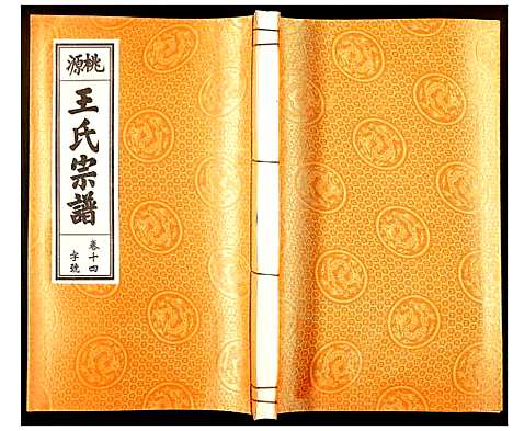 [王]王氏宗谱 (安徽) 王氏家谱_十二.pdf