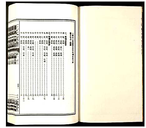 [王]王氏宗谱 (安徽) 王氏家谱_十五.pdf