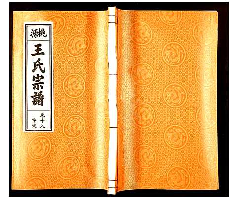 [王]王氏宗谱 (安徽) 王氏家谱_十六.pdf