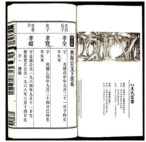 [王]王氏宗谱 (安徽) 王氏家谱_七.pdf