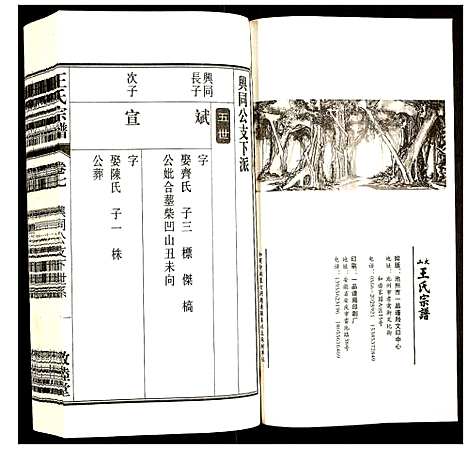 [王]王氏宗谱 (安徽) 王氏家谱_八.pdf