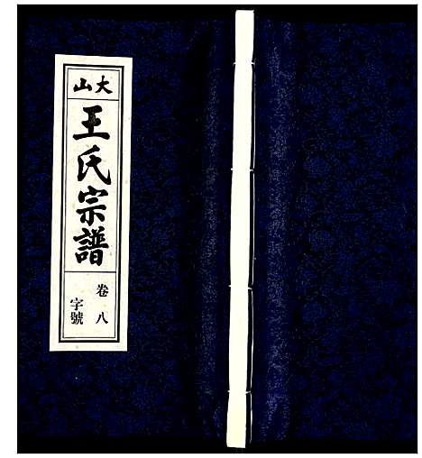 [王]王氏宗谱 (安徽) 王氏家谱_九.pdf